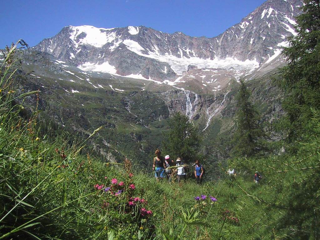 Simplon Taferna